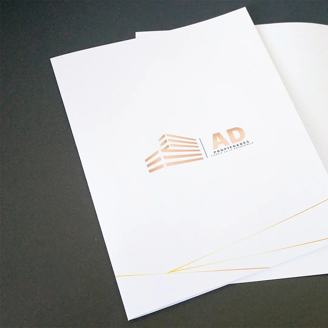 CARPETAS INSTITUCIONALES